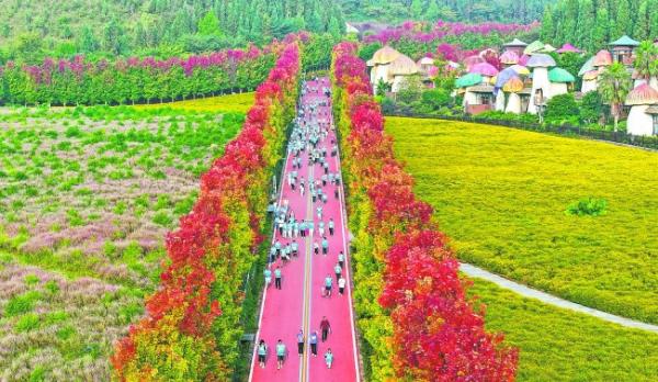 亲身感受, 神动力, 构建起 亲身感受, 神动力, 构建起